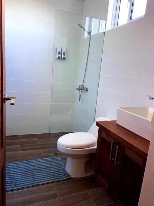 Magnificent Pent House W/Jacuzzi Daire Santiago De Los Caballeros Dış mekan fotoğraf