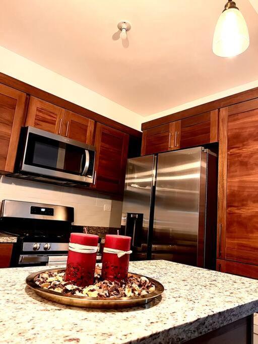 Magnificent Pent House W/Jacuzzi Daire Santiago De Los Caballeros Dış mekan fotoğraf